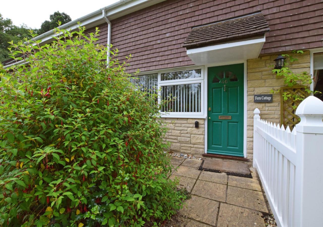 Fern Cottage Charmouth Bagian luar foto