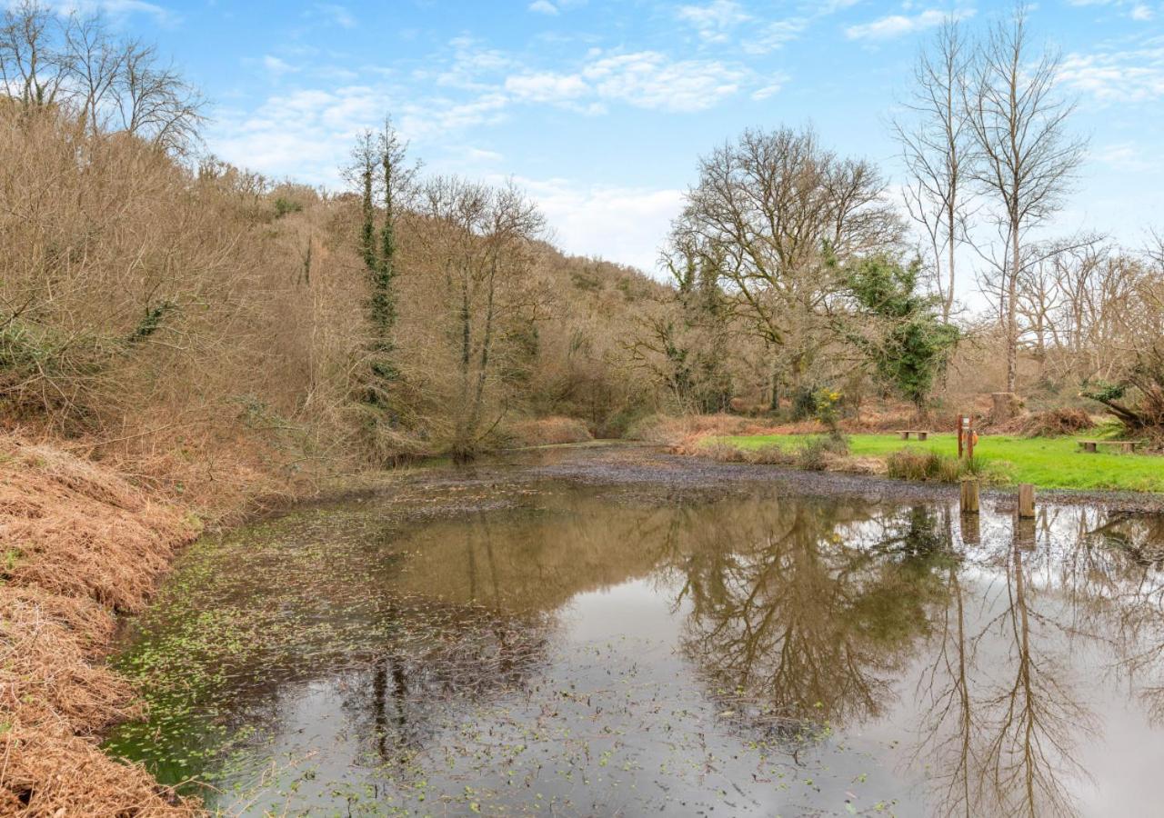 Fern Cottage Charmouth Bagian luar foto